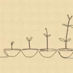 Progression of a plant growing line art