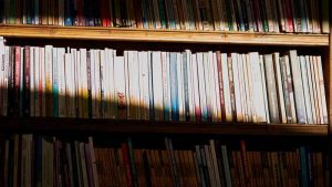 light hitting books in a library