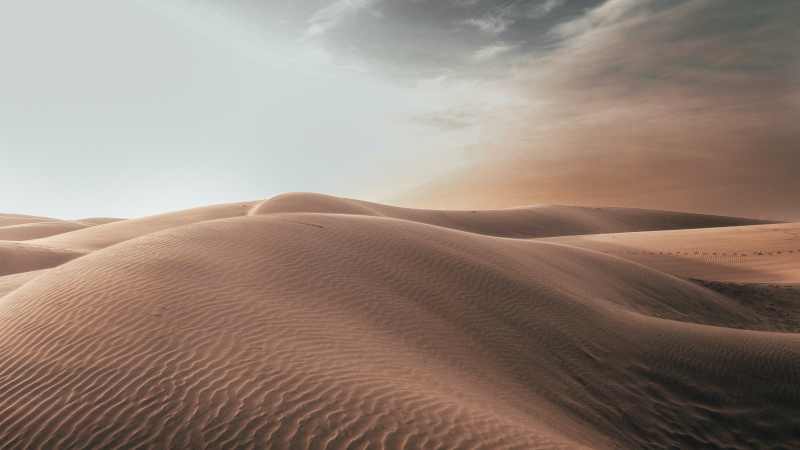 الكثبان الرملية في وسط الصحراء