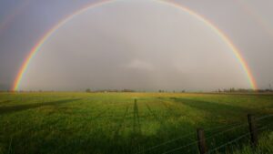 field-with-rainbow