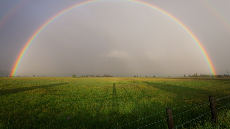 field-with-rainbow