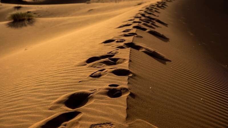 خطى على الكثبان الرملية في الصحراء