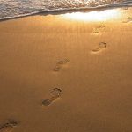 آثار الأقدام على الرمال على الشاطئ في المحيط