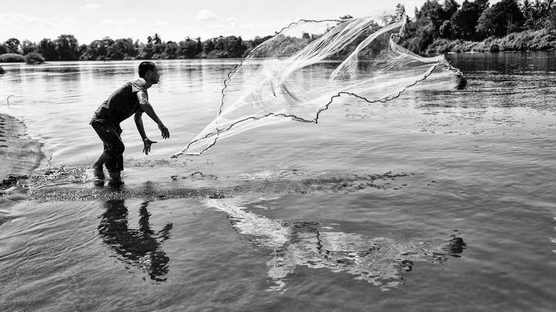 man throwing a net fishing on river