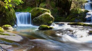 waterfall into a stream in green forest