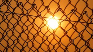 bright sun behind a fence