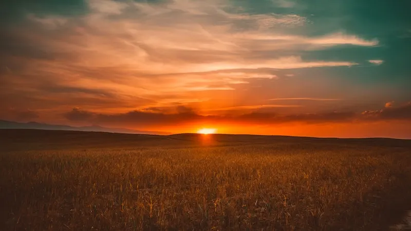 sunrise behind field