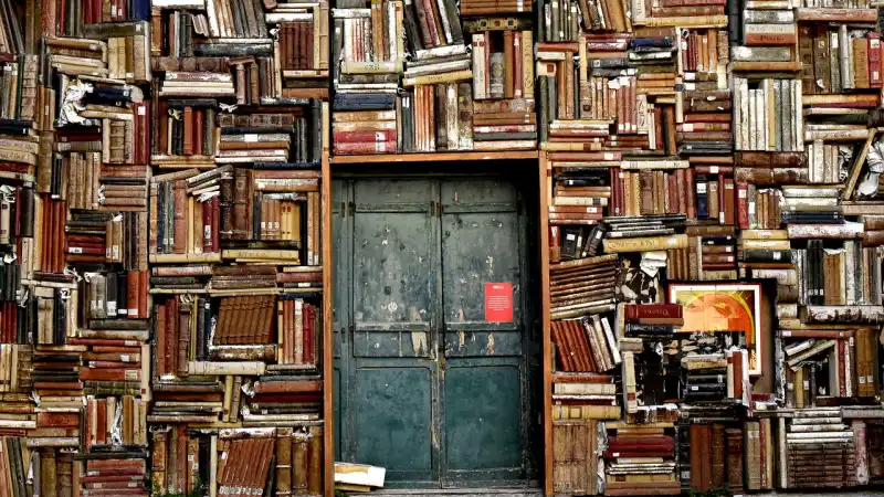 Door surrounded by books