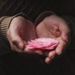 a pink flower in the hands of a woman