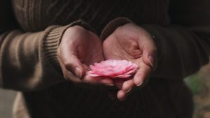 a pink flower in the hands of a woman